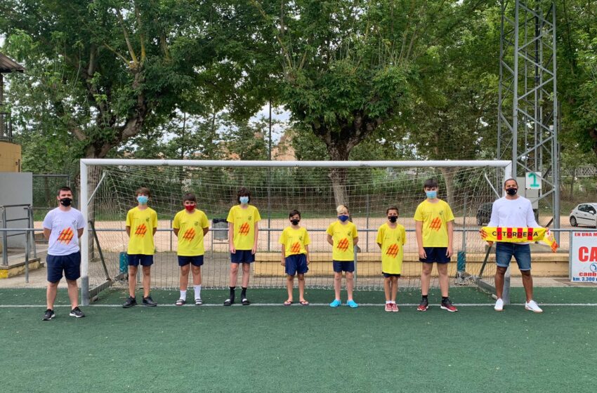 COM FUNCIONEN LES NOVES QUOTES?